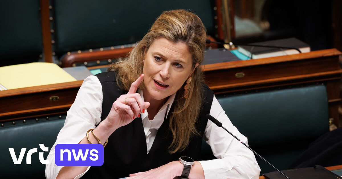 Justizministerin Verlinden will private Sicherheitsmitarbeiter in Gefängnissen einsetzen