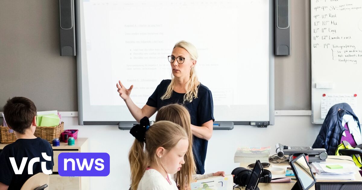 Te veel leerlingen in buitengewoon onderwijs: minister Demir wil inclusieve campusscholen en minder labels | VRT NWS: nieuws