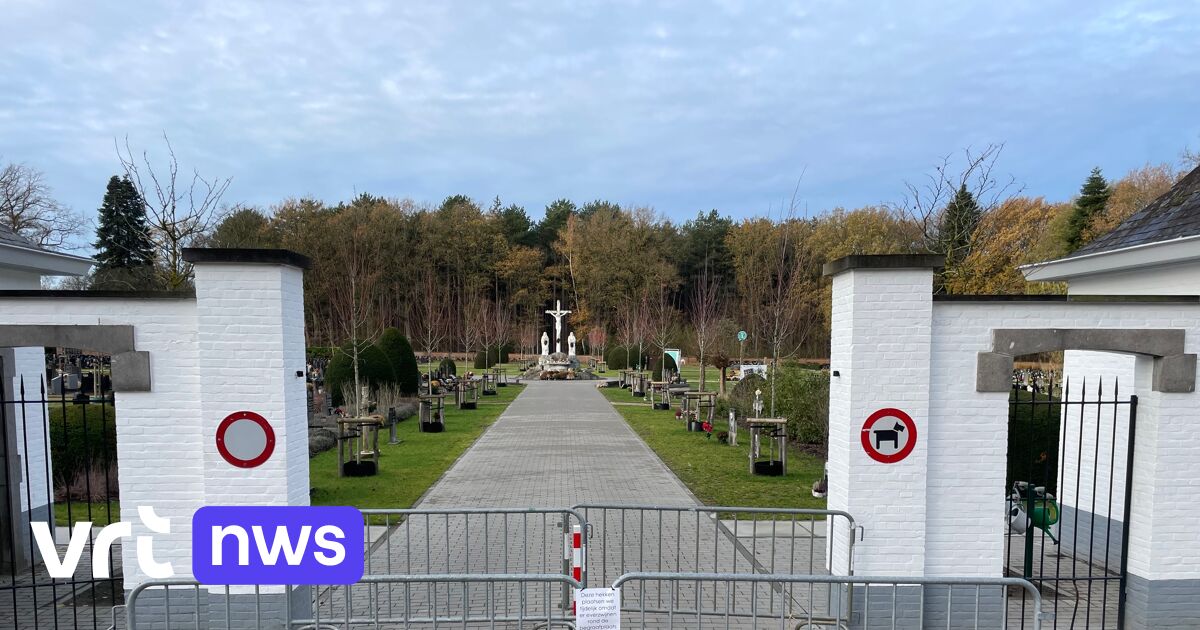 Begraafplaats Beringen-Mijn afgesloten omdat er everzwijnen in de buurt zijn: 