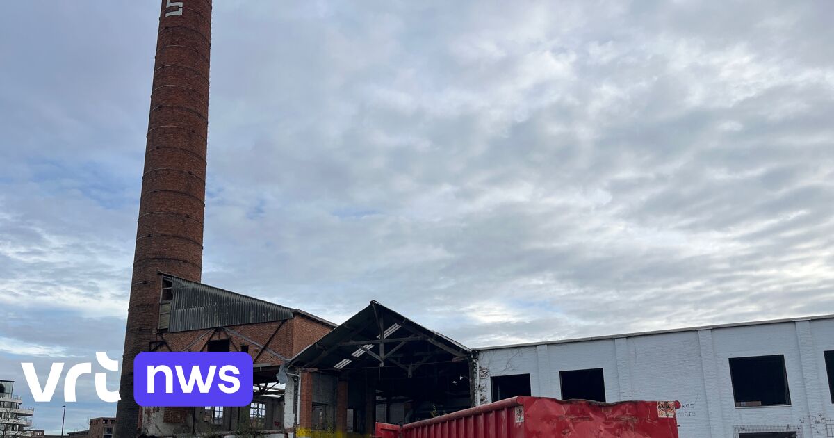 Afbraak oude gelatinefabriek in Hasselt vervroegd gestart: iconische fabriekstoren blijft staan