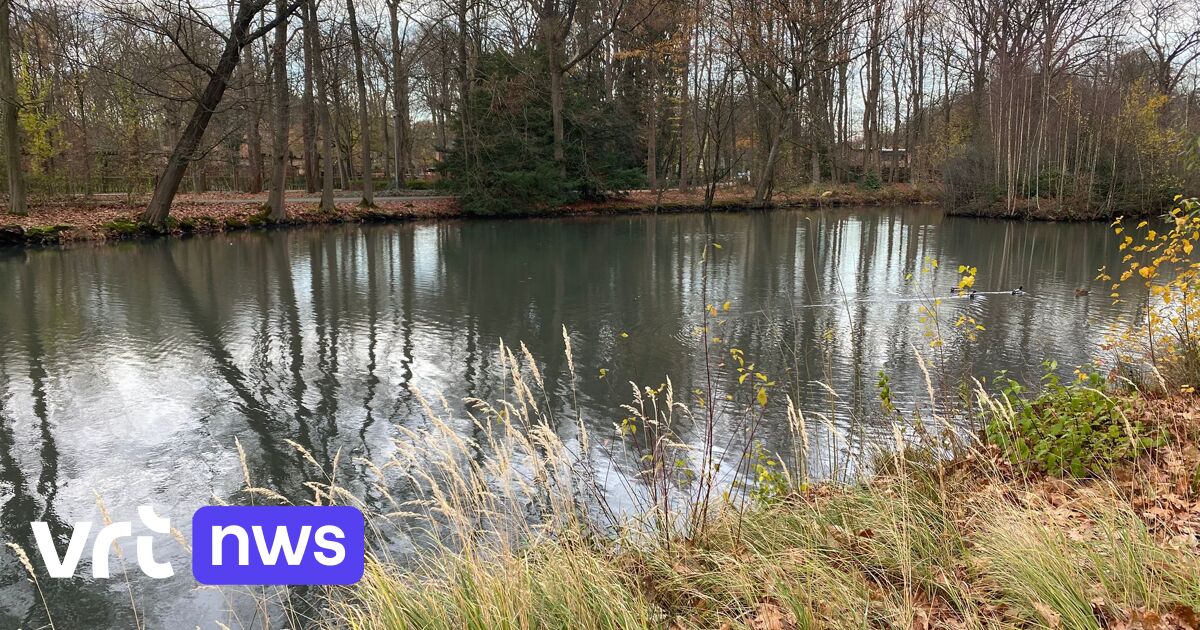 Zoersel schiet 6 nijlganzen in park Halle Hof dood: 