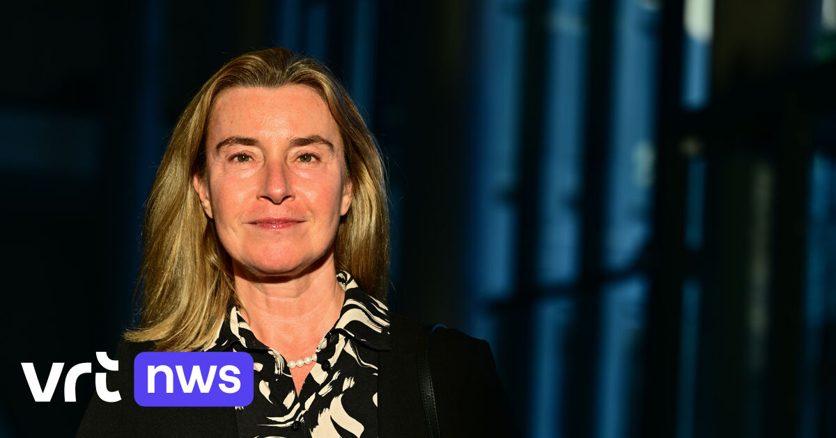 Federica Mogherini resigns as College of Europe rector following investigation into fraud and corruption