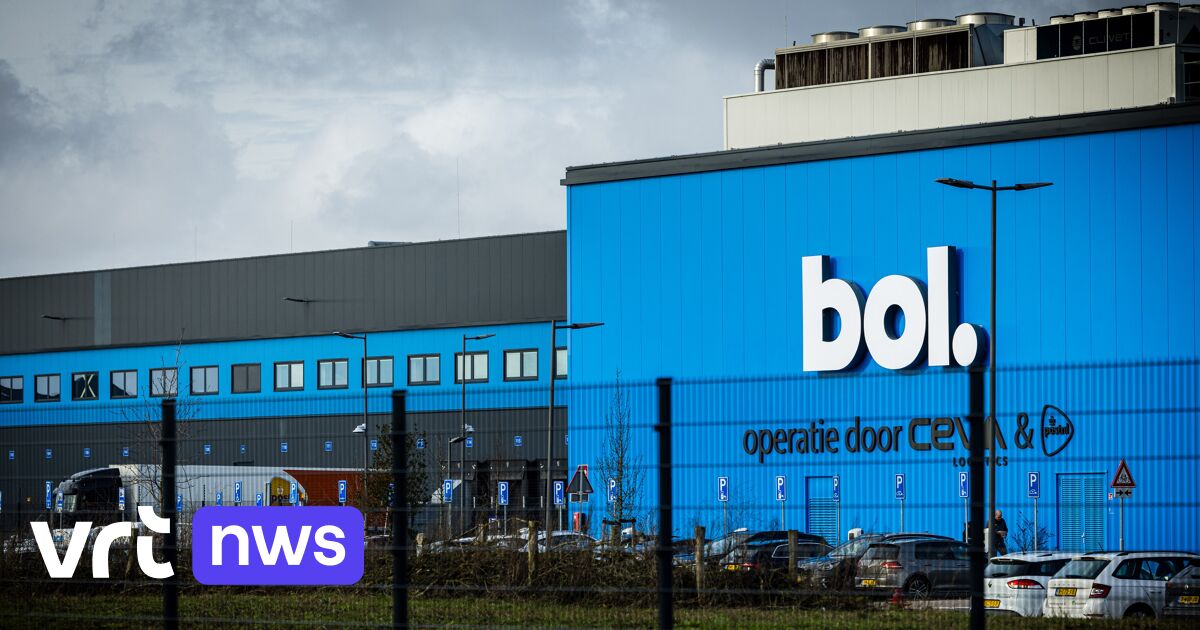 Web shop Bol.com takes sex dolls offline after report about child-like models