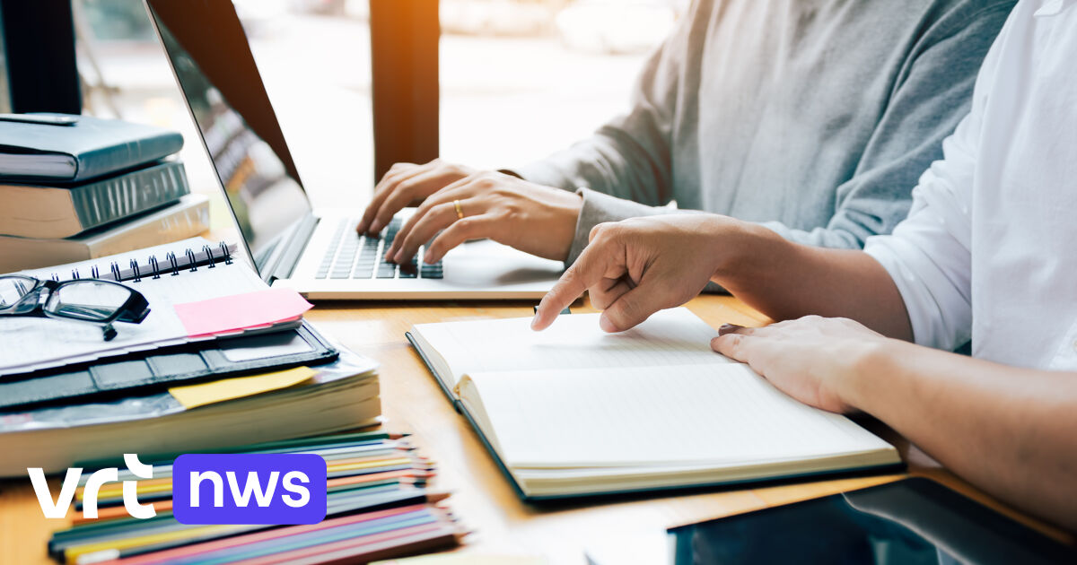 Een yogasessie of live muziek tijdens de studiepauze? Stad Hasselt biedt 4 nieuwe bloklocaties aan, 