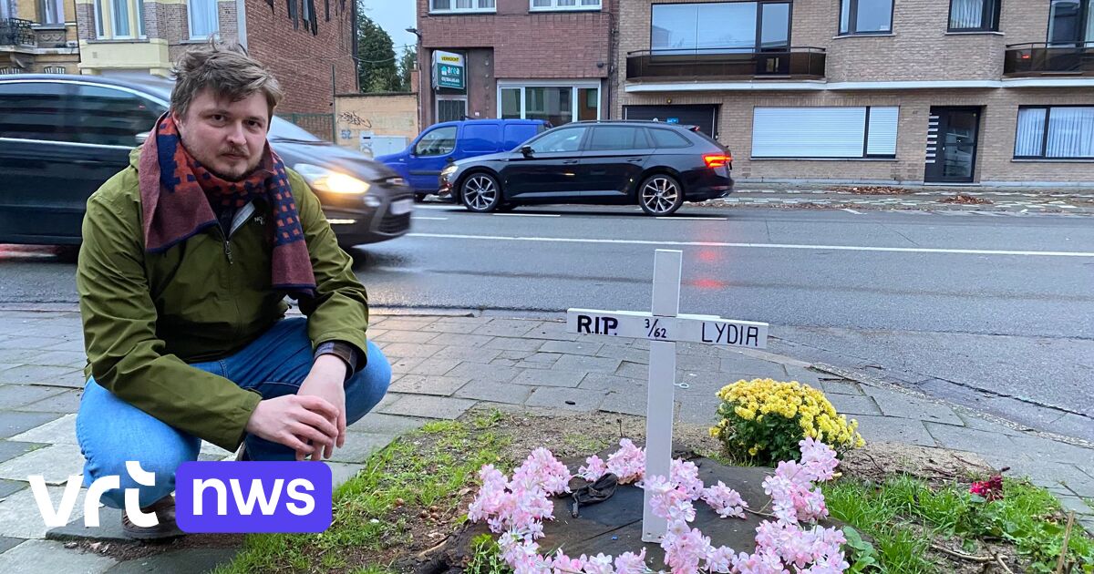 4 maanden na bomenkap in Deurne blijft getraumatiseerde Lode verder strijden: 
