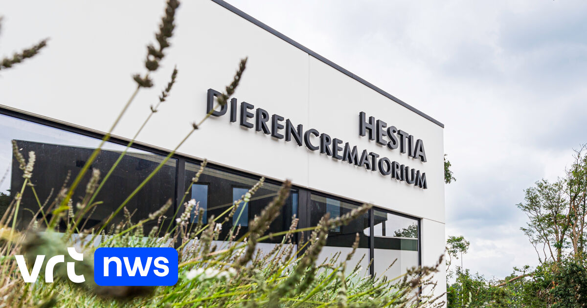 Dierencrematiorium Hestia in Hasselt cremeerde 2.000 huisdieren in eerste jaar: 