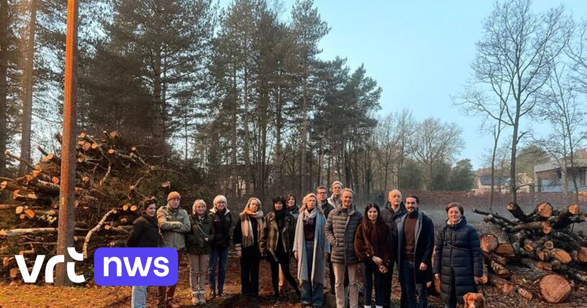 Buurtbewoners Bloemenwijk in Bolderberg boos over bomenkap: 