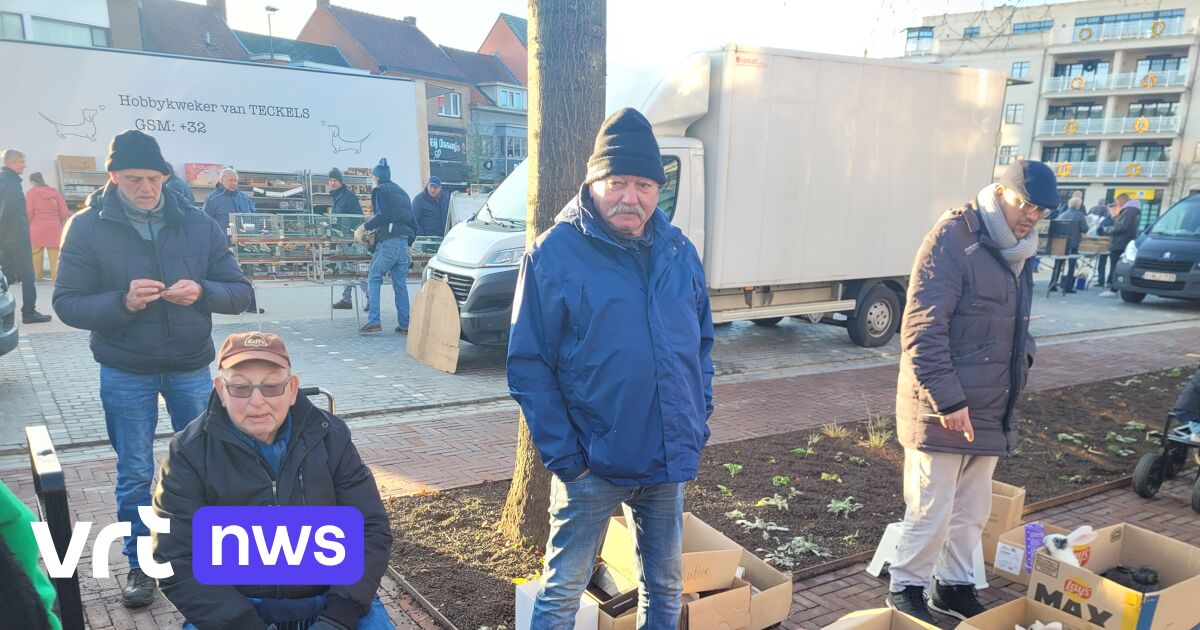 Laatste wekelijkse dierenmarkt in Mol: 