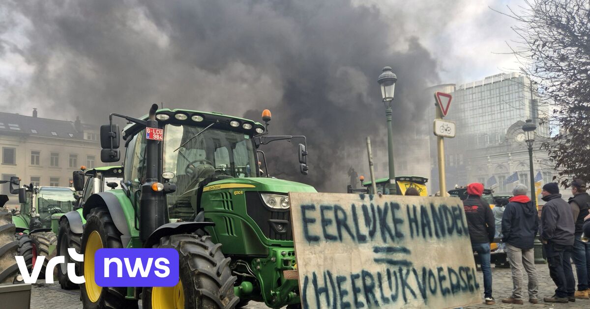 Europa schuift beslissing over Mercosur-deal voor zich uit: wat is het en waarom zijn boeren er zo f