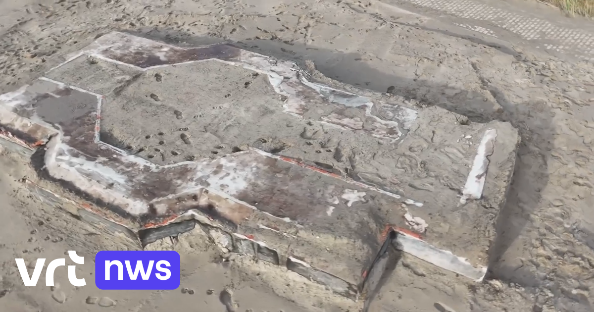 Reste des Atlantikwalls: Einzigartige deutsche Geschützstellung aus dem Zweiten Weltkrieg in den Dünen von Bredene entdeckt