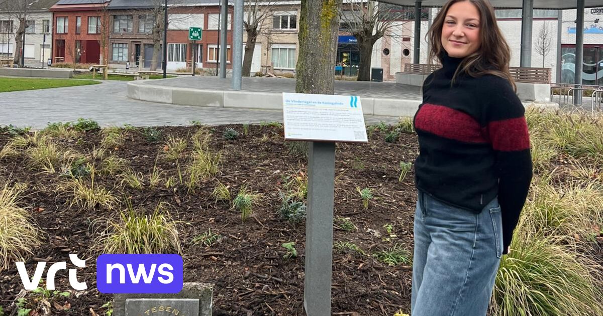 Vredesplek bij koningslinde op Grote Markt in Kapelle-op-den-Bos in ere hersteld
