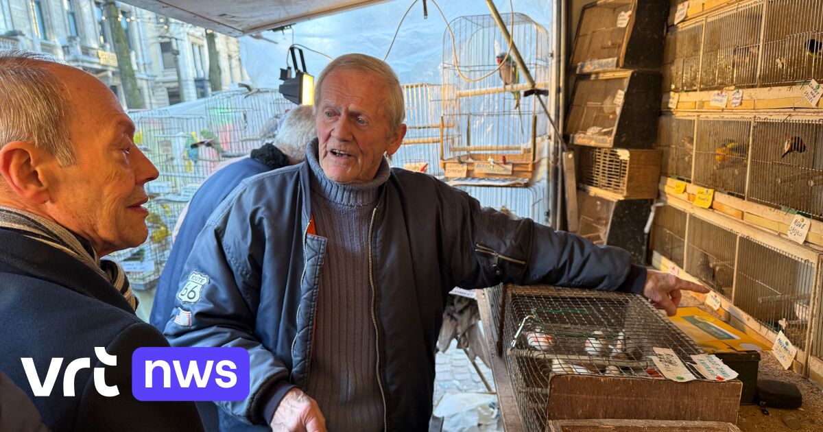 Laatste keer dieren op de Antwerpse Vogelenmarkt: 