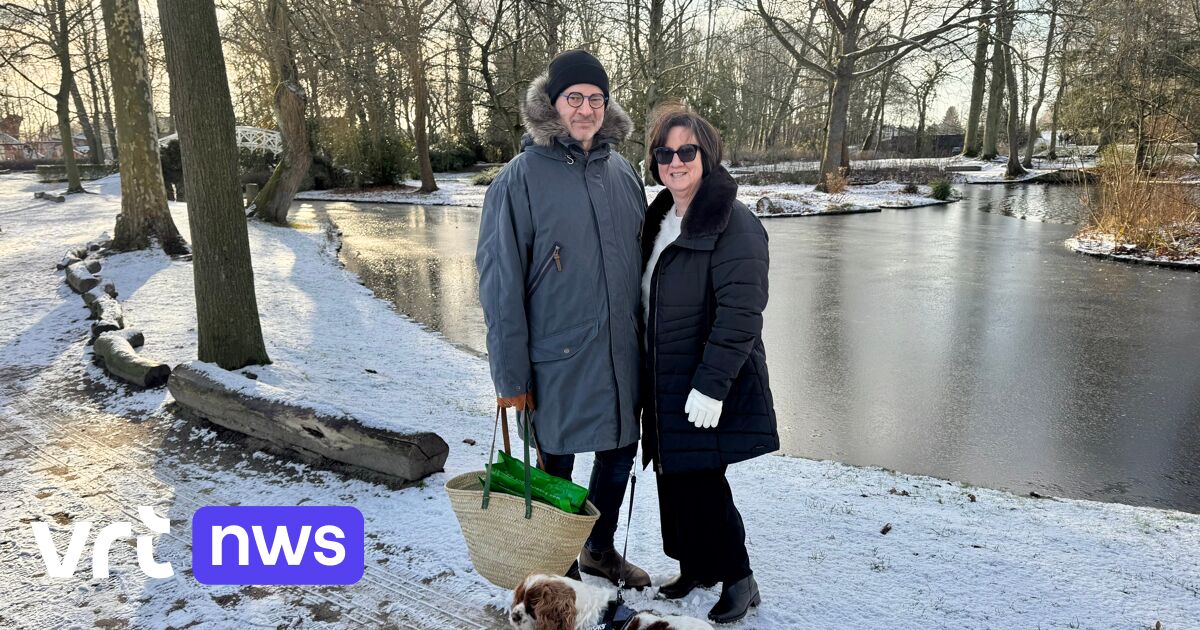 Eerste sneeuw tovert Mechelen en Lier (heel even) om tot winterdecor: 