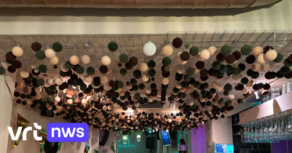 Uitbaters Hasseltse jongerencafés stellen gerust: 