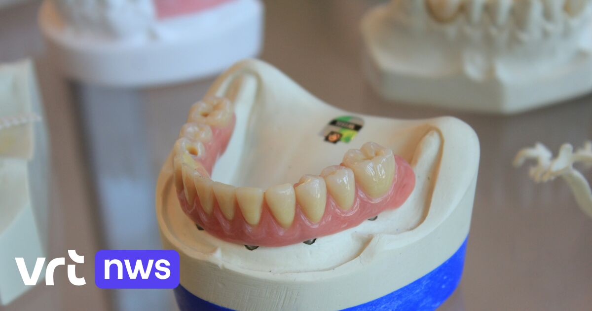 Man (37) uit Hasselt krijgt 22 maanden cel na diefstal van kunstgebit en andere feiten