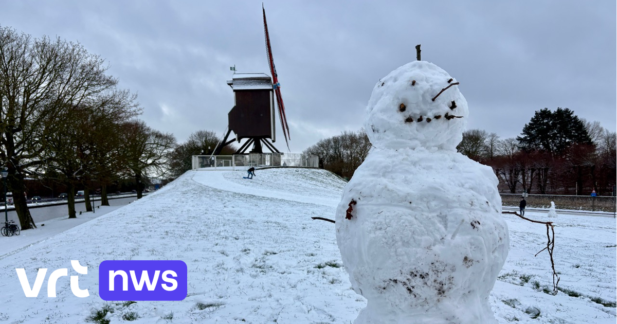 Winterweer - Grote terminals in Antwerpse haven stilgelegd, afvalophaling loopt in bijna heel Vlaanderen in de soep