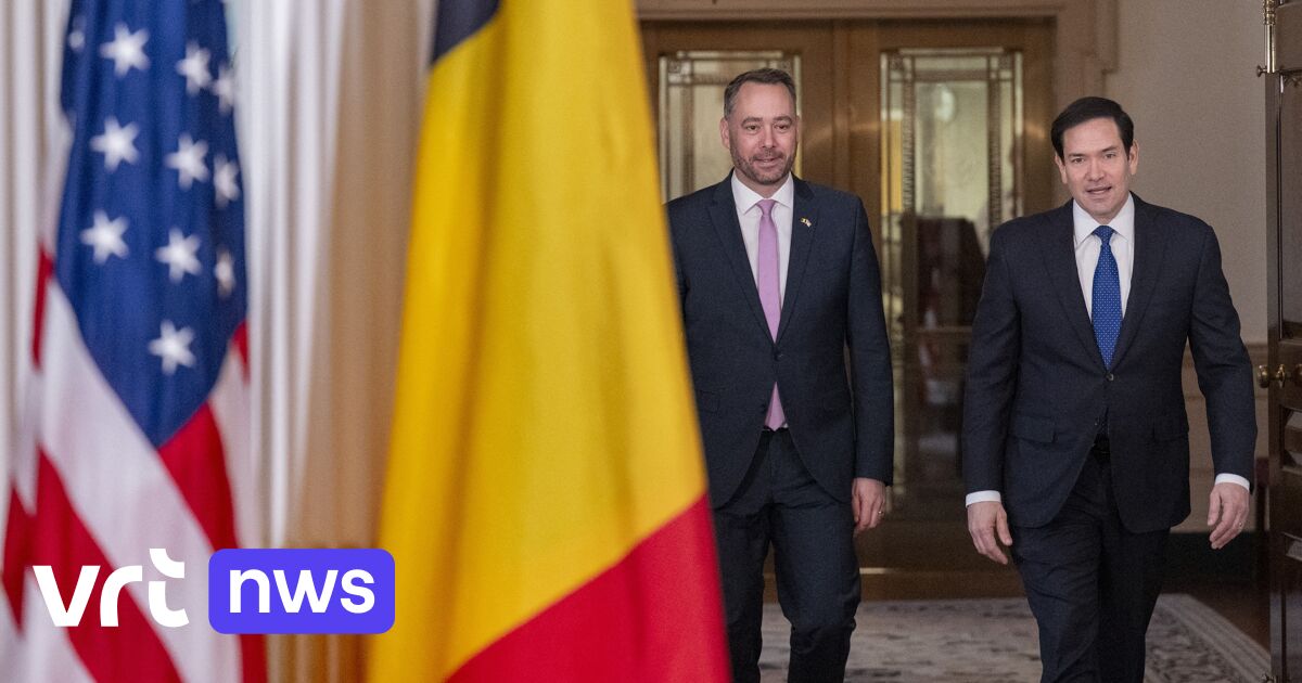 Belgian Foreign Minister and US Secretary of State meet to discuss Venezuela and Gaza