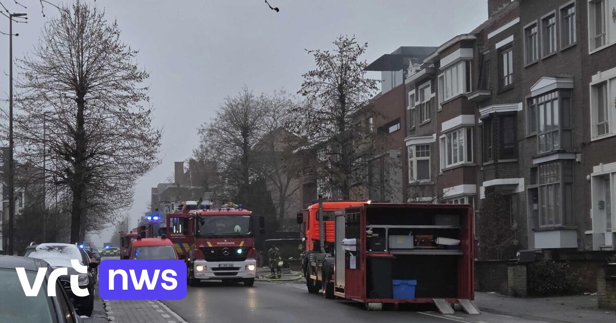 Korte maar hevige woningbrand in Hasselt: 