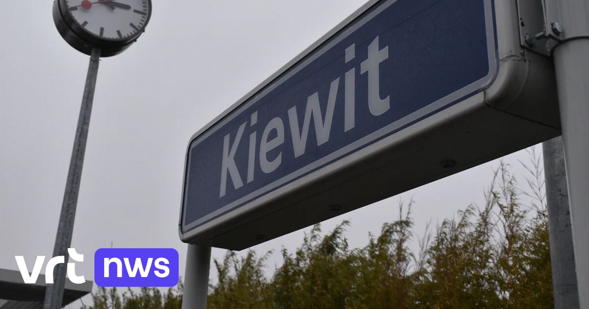 Werken aan station Kiewit afgerond: 