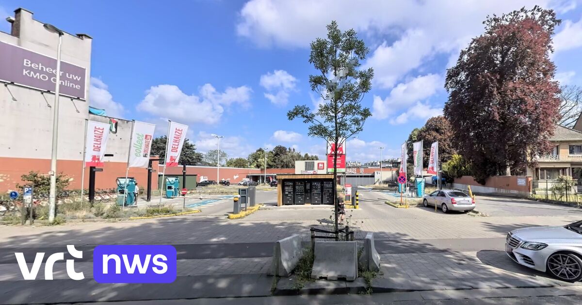 Delhaize in Deurne mag opnieuw open na hercontrole van FAVV op ongedierte: 