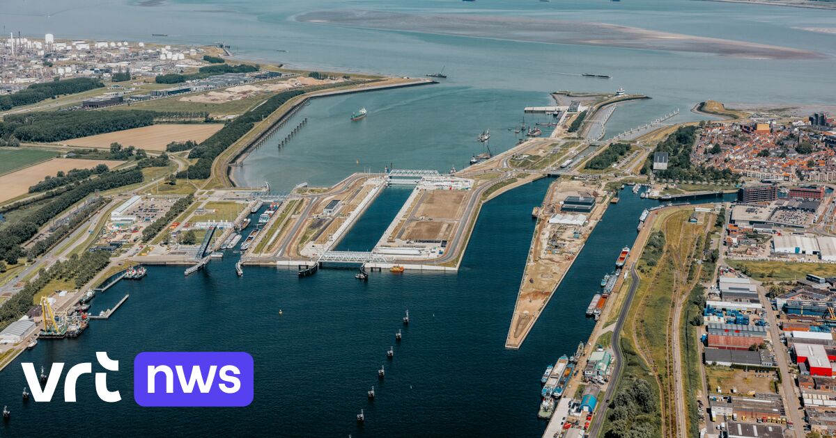 Fusiehaven North Sea Port groeit in onzekere tijden: 