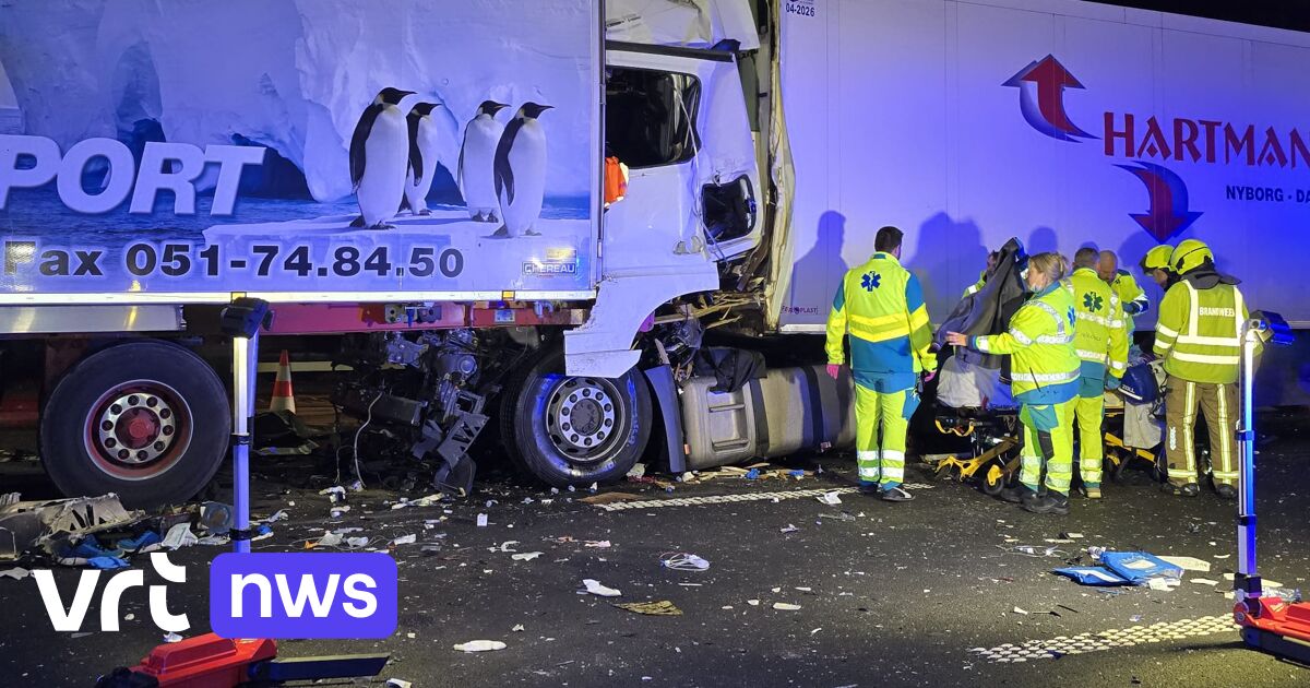 E17 volledig dicht na kop-staartaanrijding in Haasdonk: 2 zwaargewonden bevrijd, 2 anderen lichtgewo