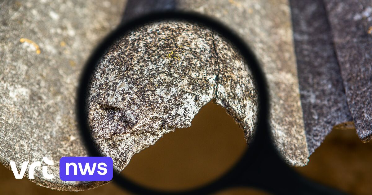 Groepsaankoop asbestattesten in regio Mechelen en Lier: 