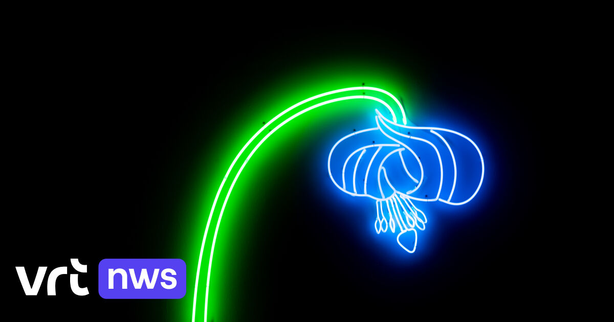 Die Neonlicht-Kunstwerke des viel zu früh verstorbenen Daan Gielis sind in Antwerpen zu entdecken
