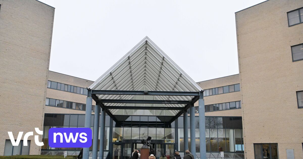 Ziekenhuis Noorderhart in Pelt breidt project 'zorgvriend' uit naar bijna alle afdelingen: "extra paar oren voor de patiënt"