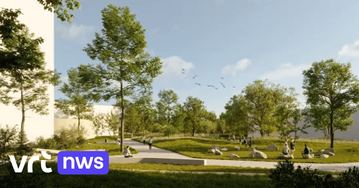 Hasselt’s Elfde-Liniestraat to close as works continue on new car-free zone
