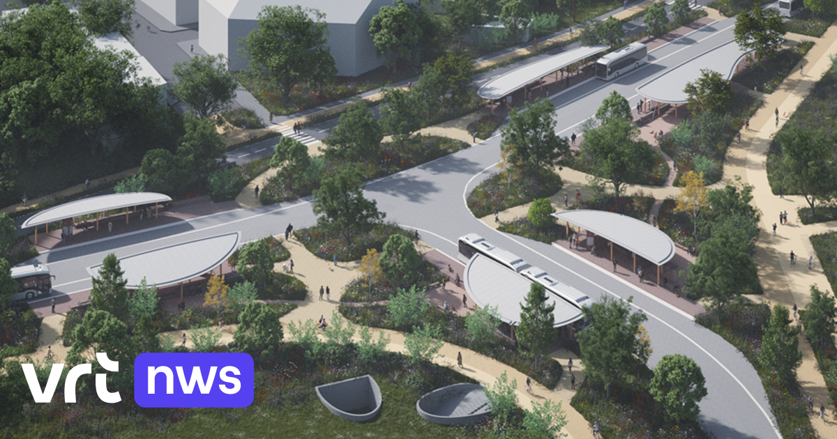 Werken aan Elfde-Liniestraat in Hasselt starten: “We maken een autovrije campus, naar Amerikaans mod