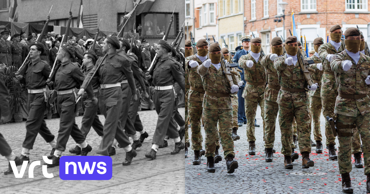 Belgisch leger heeft opnieuw 2 brigades: de 1e en... de 7e. Wat betekent dat?