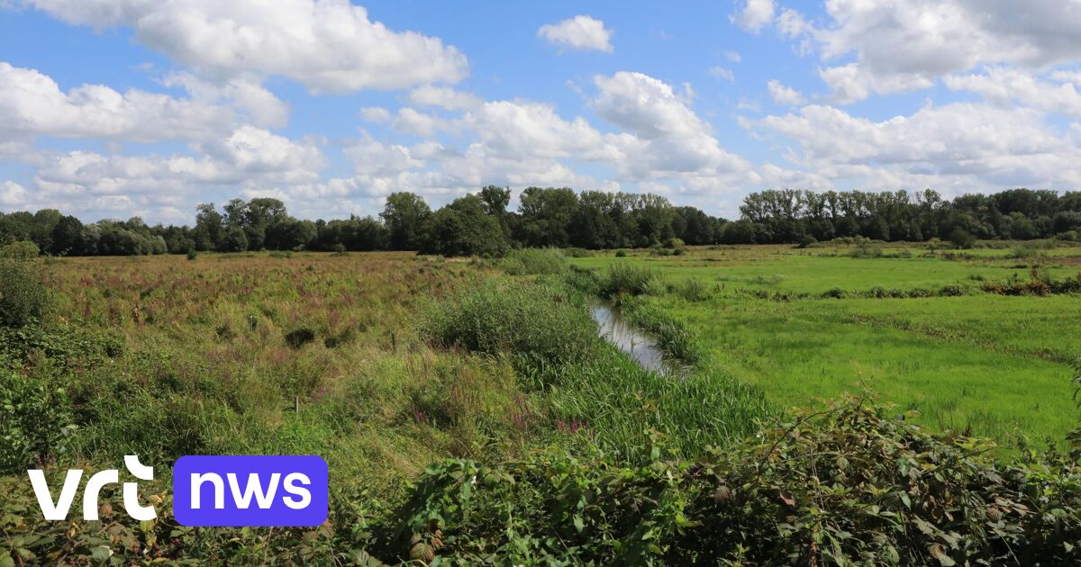 14 hectare extra natte natuur tussen Mechelen en Bonheiden: 
