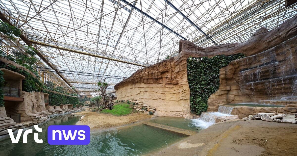 Tierpark Pairi Daiza eröffnet größtes tropisches Gewächshaus der Welt