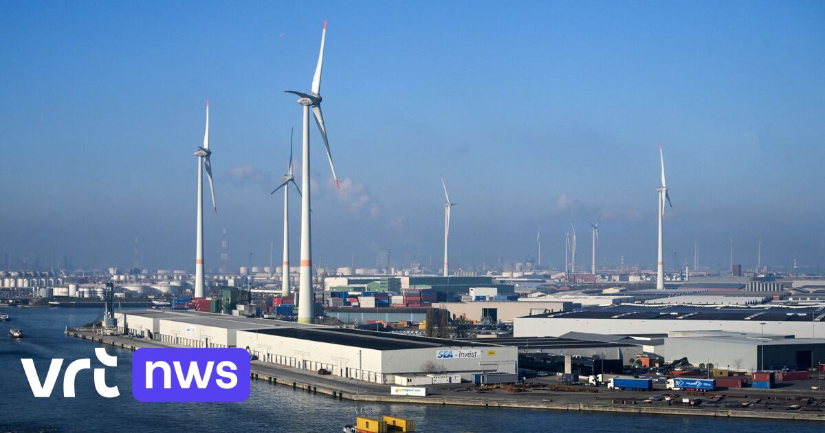„Es ist wie eine überlastete Autobahn“: Unternehmen im Hafen von Antwerpen besorgt über Stromversorgung