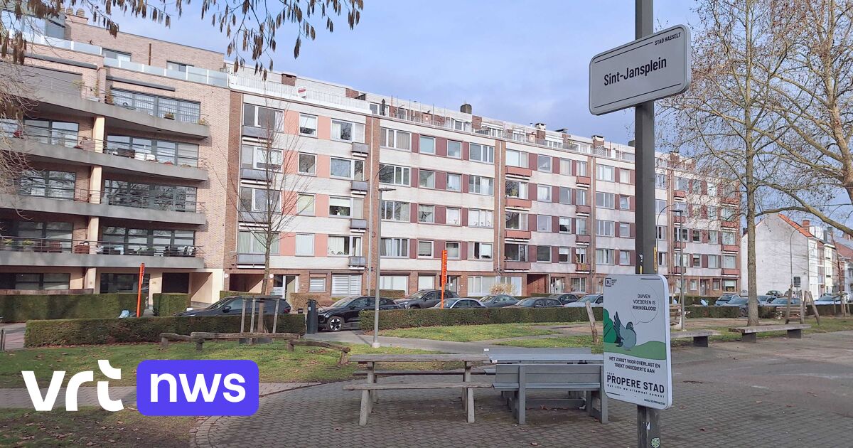 Hasselt plaatst camera op Sint-Jansplein nadat iemand honden probeerde te vergiftigen