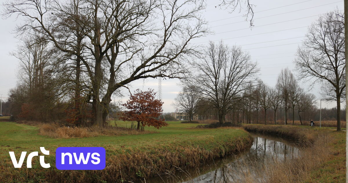 Werken voor trambus tussen Diepenbeek en Hasselt doen Demer extra kronkelen: 