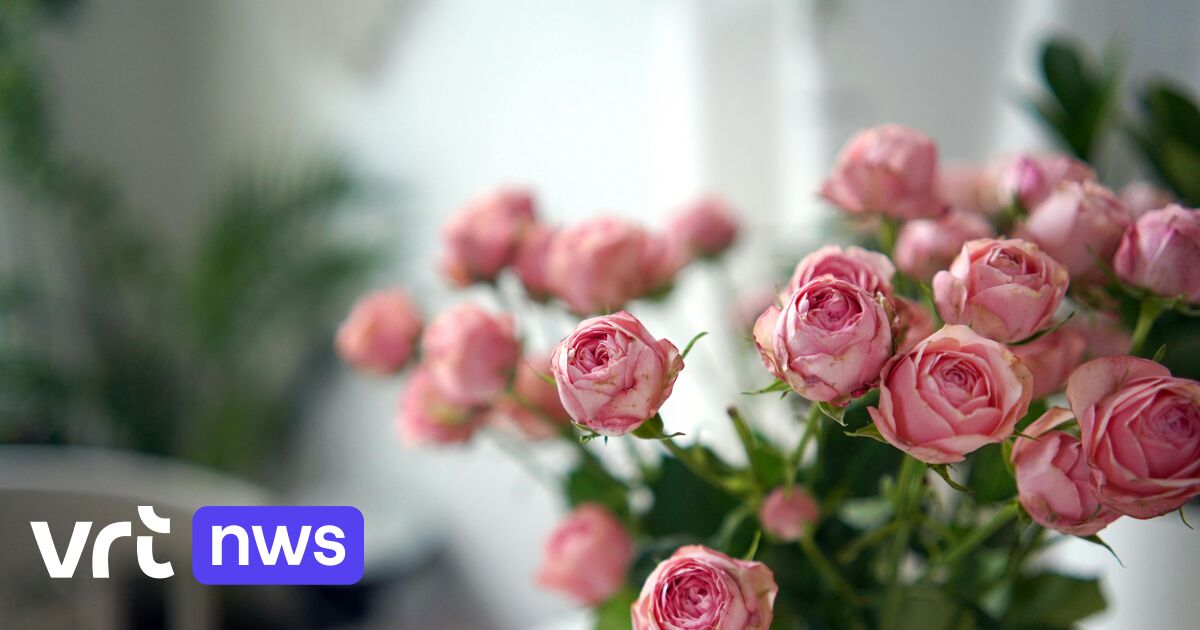 Politie betrapt 2 gsm-dieven in Mechelen die slachtoffers afleidden met bos bloemen