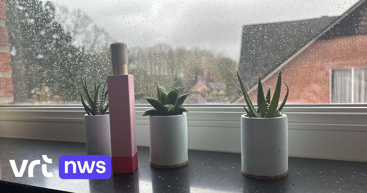 UHasselt-studenten ontwikkelen lippenstift met sirene van 120 decibel voor veiligheid vrouwen