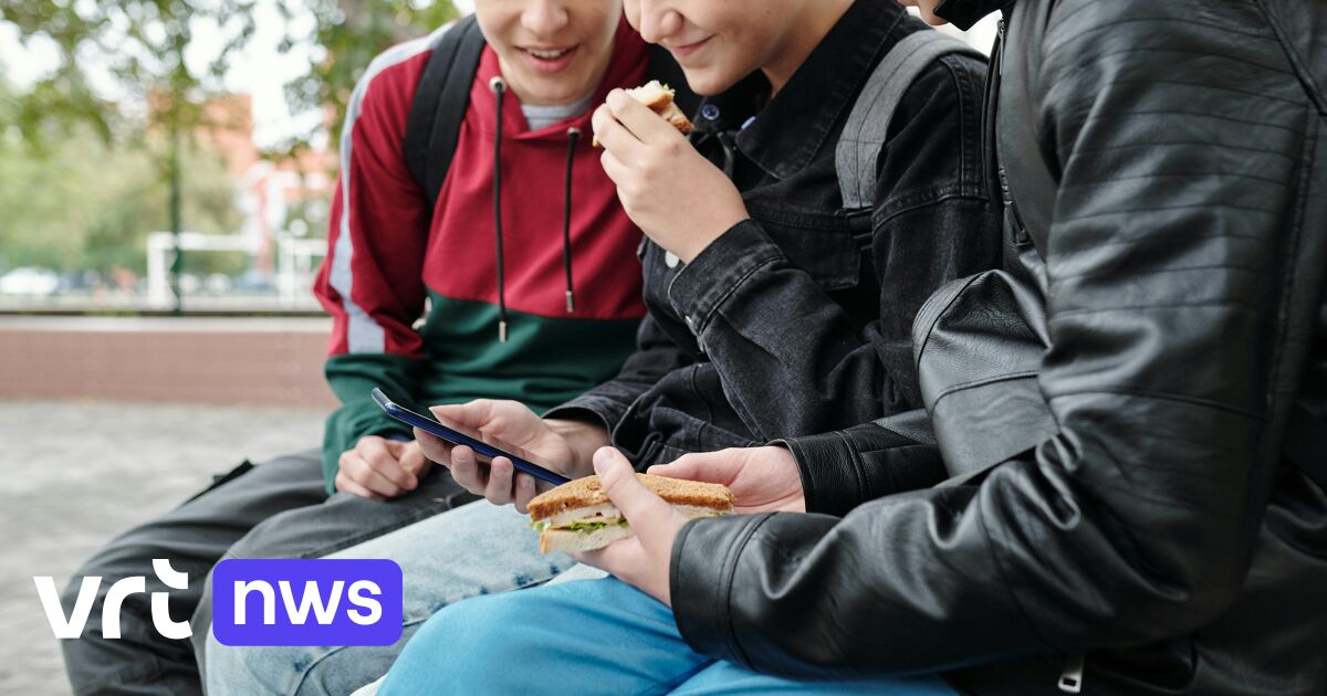 Na deepfake seksvideo van leerkracht: Mediawijs krijgt meer en meer vragen van scholen over AI-beelden | VRT NWS: nieuws