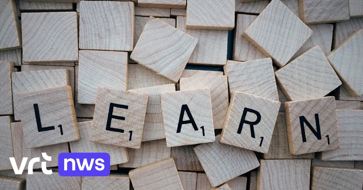 In Flandern sollen die Gebühren für berufsbezogene Sprachkurse (F/D/EN) in der Erwachsenenbildung wieder gesenkt werden