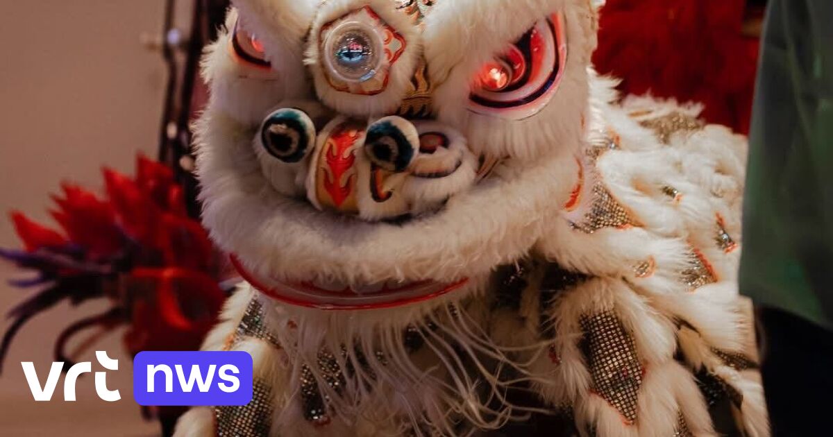 Hasseltse kungfu-school druk met drakendansen tijdens Chinees Nieuwjaar: 