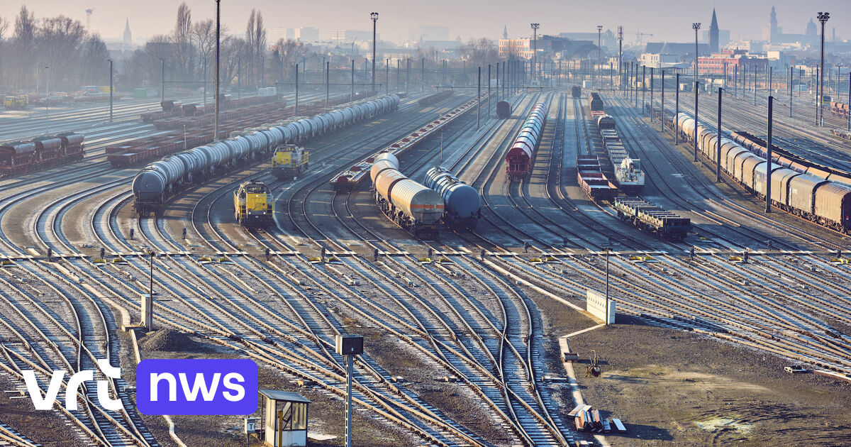 Goederenspoor tussen haven Gent en Terneuzen stap dichterbij: 