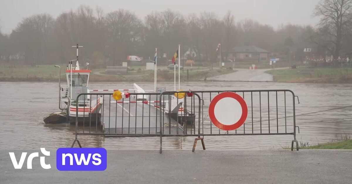 Die Maas führt Hochwasser auch in Flandern – Im Osten Belgiens gilt die Vorwarnstufe