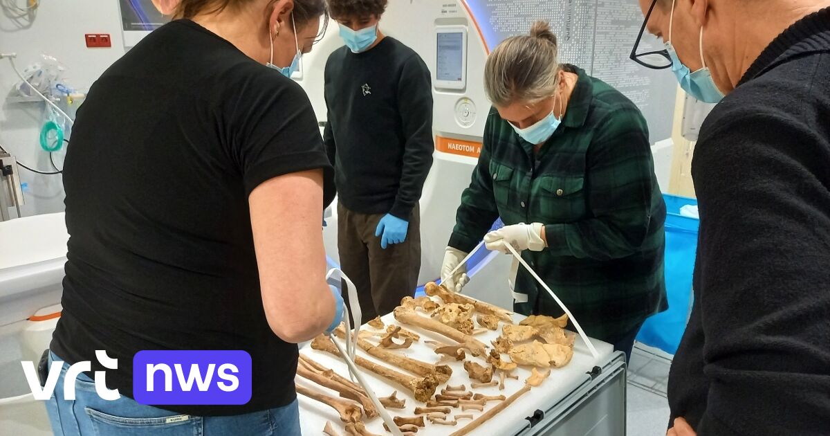 DNA-Forschung zur Identitätsbestimmung der Herzöge von Brabant in Löwen