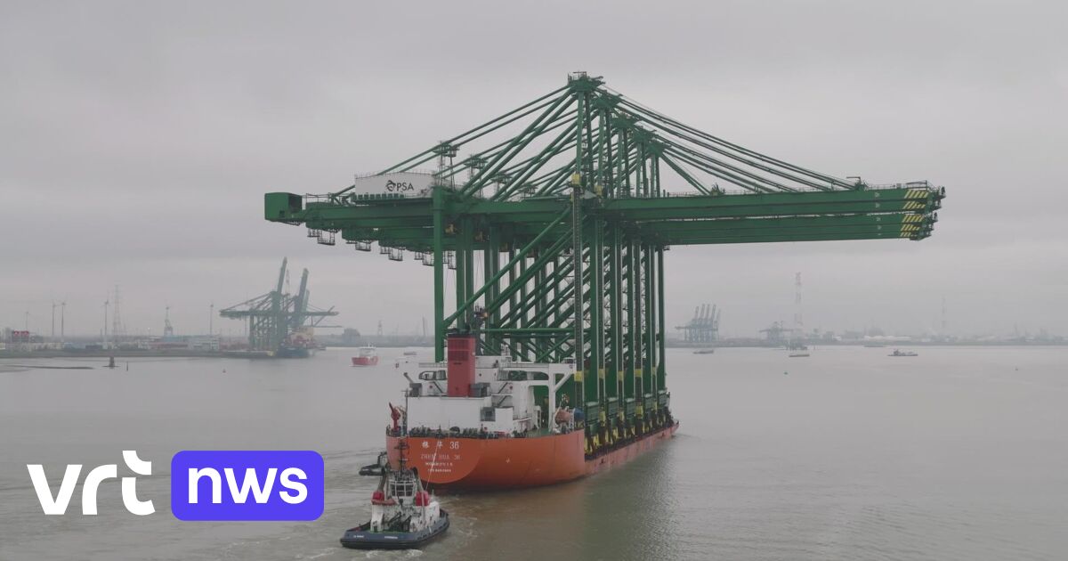 Neue Megakräne im Hafen von Antwerpen für die größten Containerschiffe der Welt