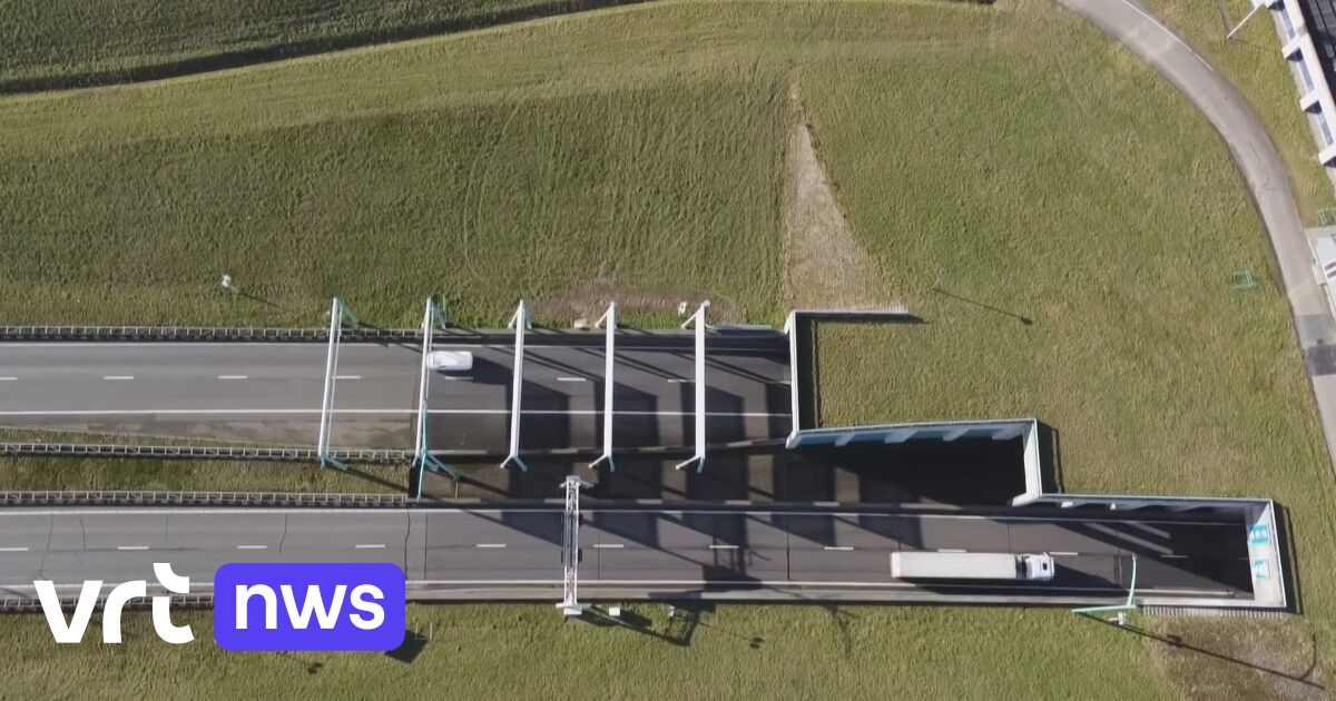 Bauarbeiten: Ab Anfang 2027 sollte der Westschelde-Tunnel in Zeeland möglichst gemieden werden - Die Wirtschaft ist besorgt