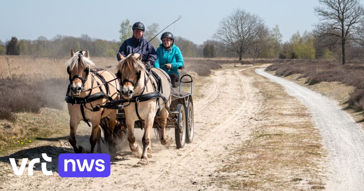 Aardbeving met kracht van 3.0 in Nederlandse provincie Drenthe