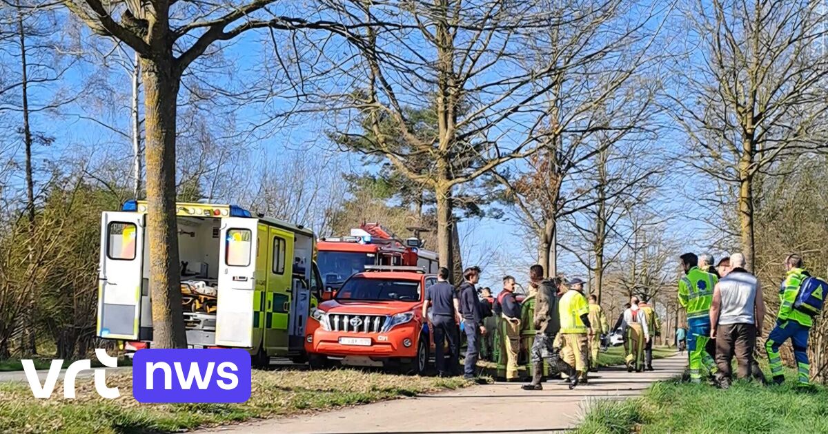 Medewerker (48) van Natuurpunt uit Zutendaal gewond bij bomenkap in ...