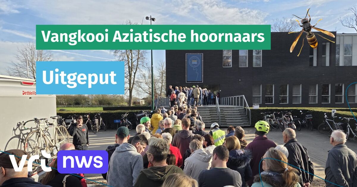 Na stormloop op vallen voor de Aziatische hoornaar, zal Assenede een extra voorraad voorzien